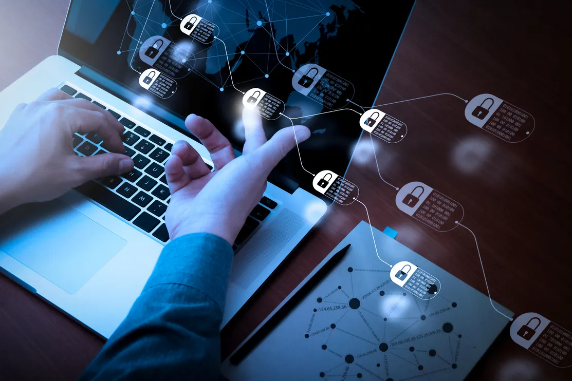 Soporte y Mantenimiento: Estabilidad a Largo Plazo